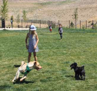 Dog Park at Somersett West Park